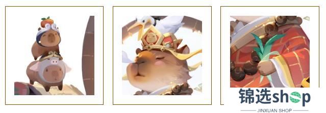 宠物爆料 