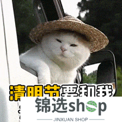 《我的勇者》四月与春同往 风寄长思清明雨上（内含300钻）